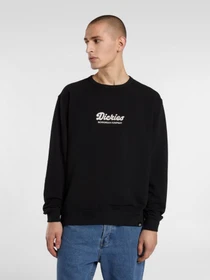 Худи и свитшоты Dickies Lewistown модель DK0A8682BLK1 Фото