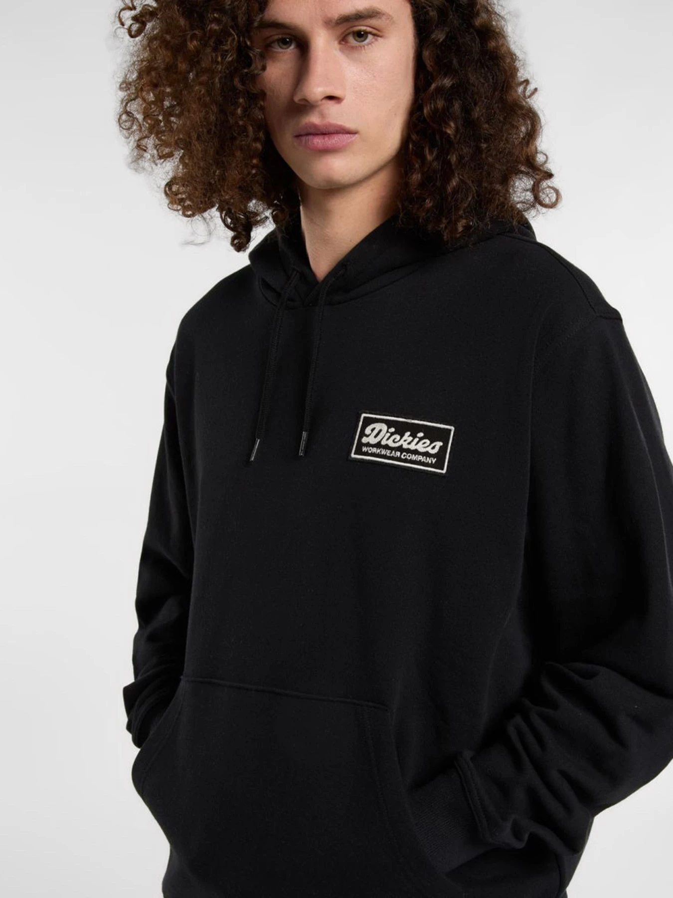 Худі та світшоти Dickies Lewistown модель DK0A8683BLK1 Фото