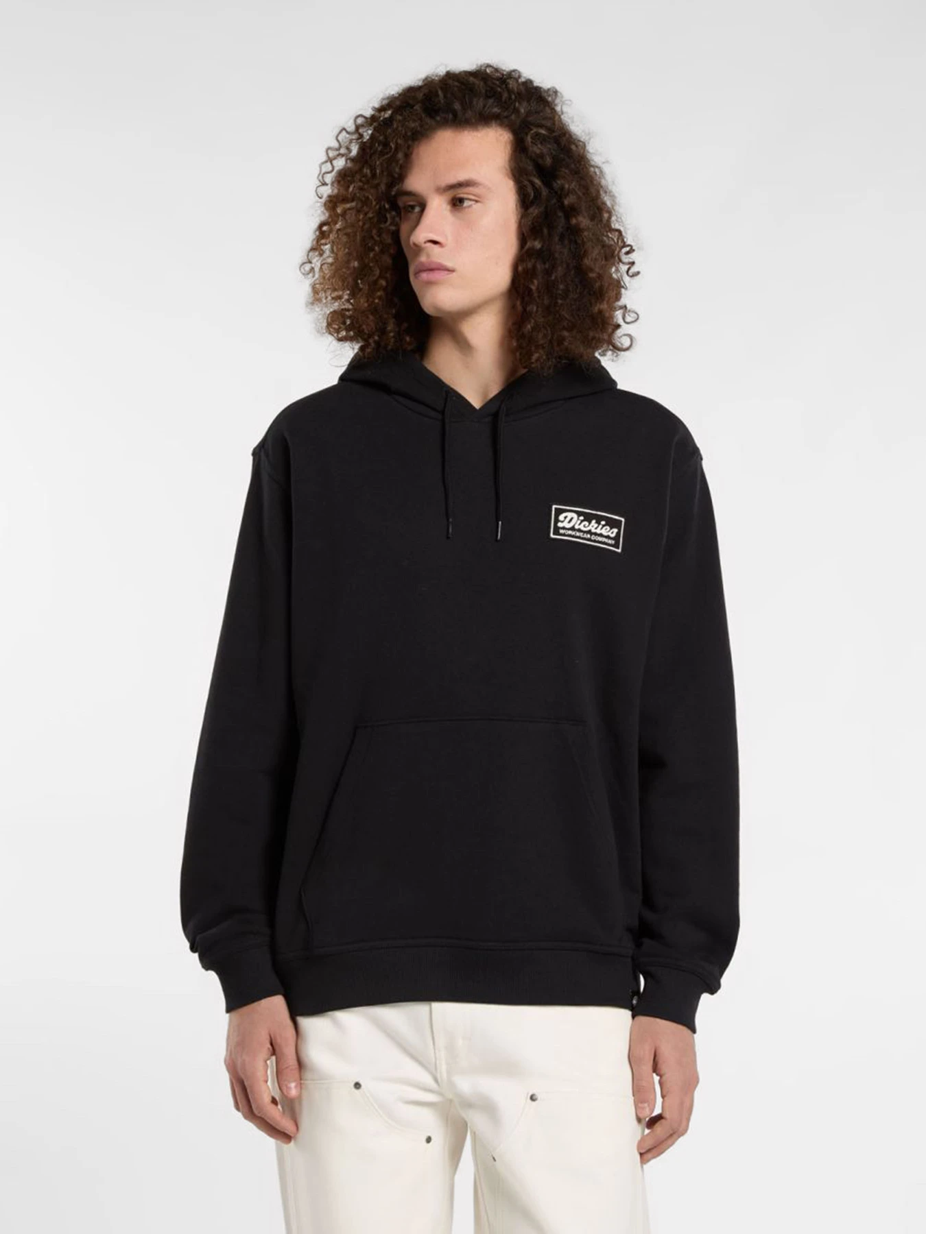 Худі та світшоти Dickies Lewistown модель DK0A8683BLK1 Фото