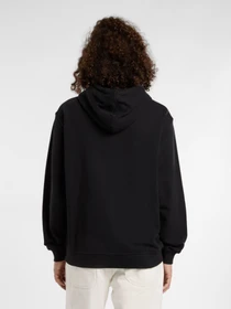 Худі та світшоти Dickies Lewistown модель DK0A8683BLK1 Фото