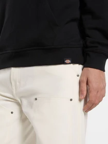Худі та світшоти Dickies Lewistown модель DK0A8683BLK1 Фото