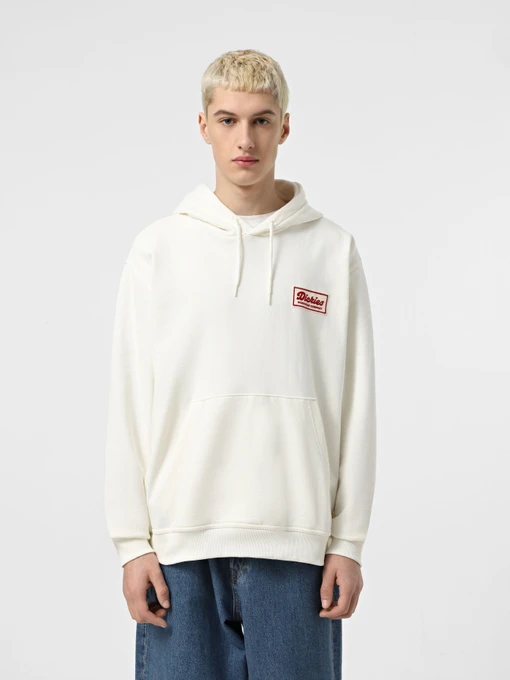 Худі та світшоти Dickies Lewistown модель DK0A8683C481 Фото