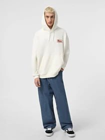 Худі та світшоти Dickies Lewistown модель DK0A8683C481 Фото