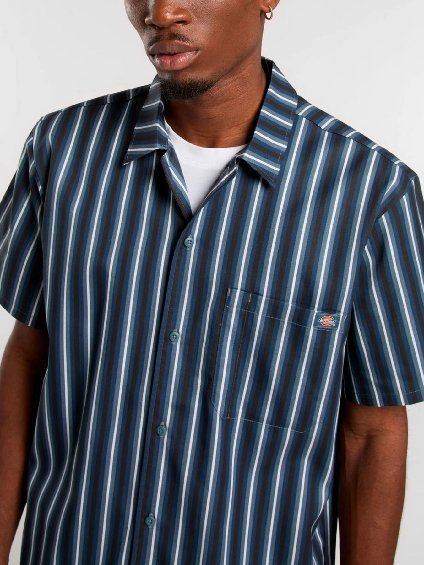 Рубашки Dickies Multi Stripe модель DK0A87G3G701 Рубашки Dickies Multi Stripe модель DK0A87G3G701 Фото