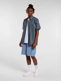 Рубашки Dickies Multi Stripe модель DK0A87G3G701 Фото