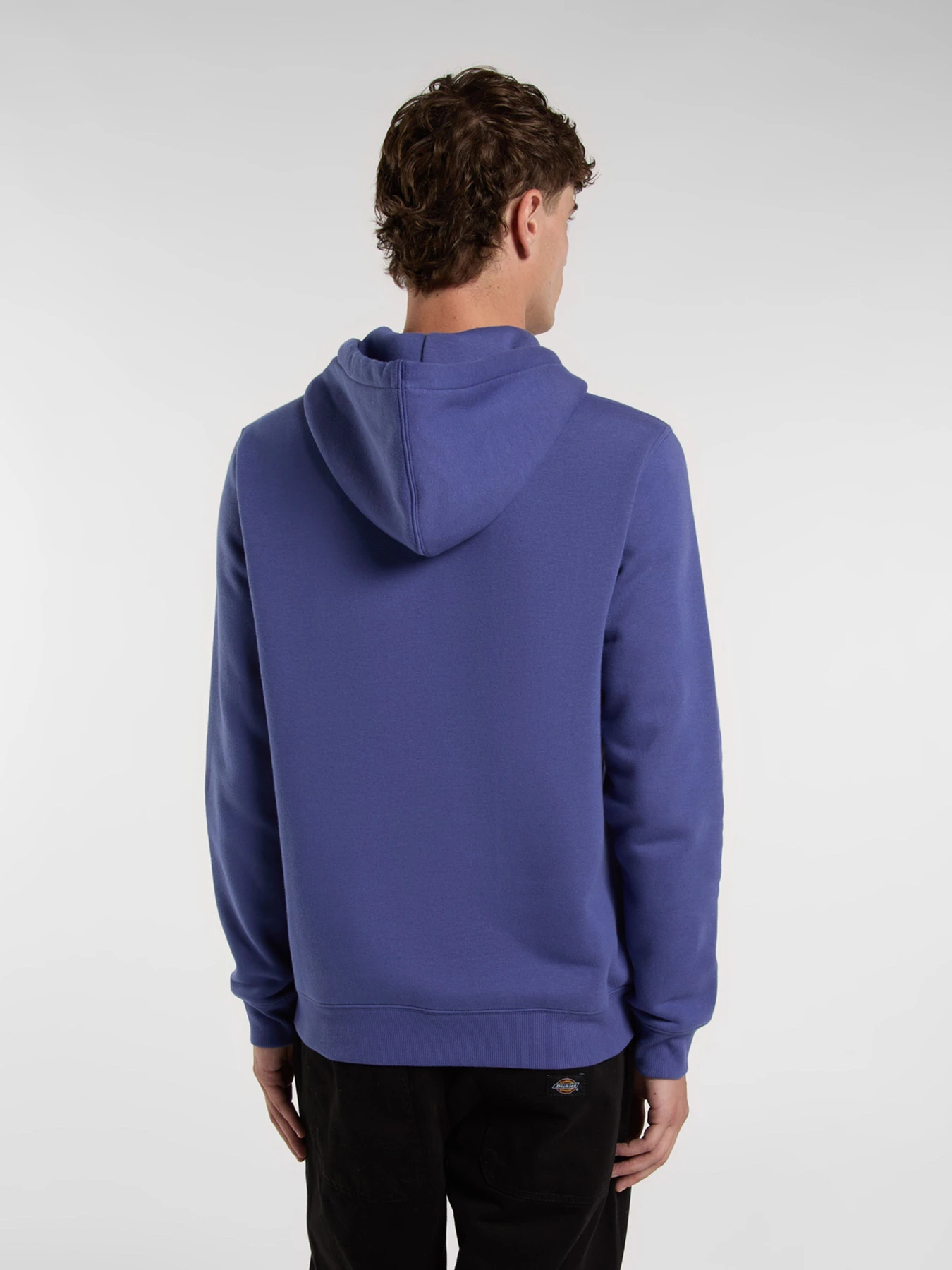 Худи и свитшоты Dickies Oakport модель DK0A4XCDK421 Фото