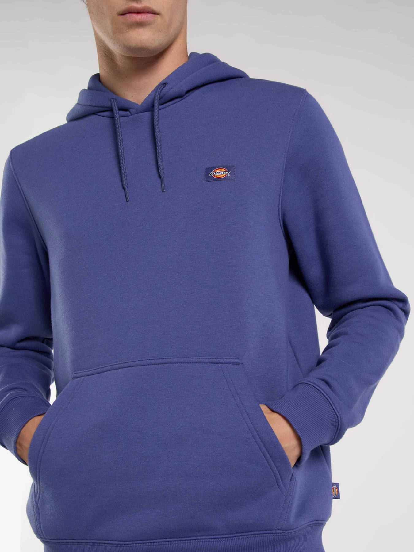 Худи и свитшоты Dickies Oakport модель DK0A4XCDK421 Фото