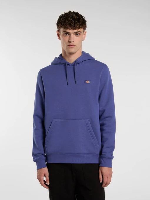 Худі та світшоти Dickies Oakport модель DK0A4XCDK421 Фото
