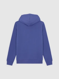 Худи и свитшоты Dickies Oakport модель DK0A4XCDK421 Фото