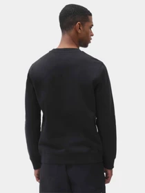 Худі та світшоти Dickies Oakport модель DK0A4XCEBLK1 Фото