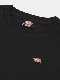 Худі та світшоти Dickies Oakport модель DK0A4XCEBLK1 Фото