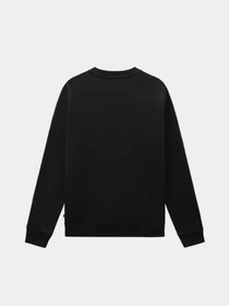 Худі та світшоти Dickies Oakport модель DK0A4XCEBLK1 Фото