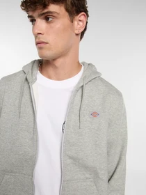 Худі та світшоти Dickies Oakport модель DK0A4XD3HG01 Фото