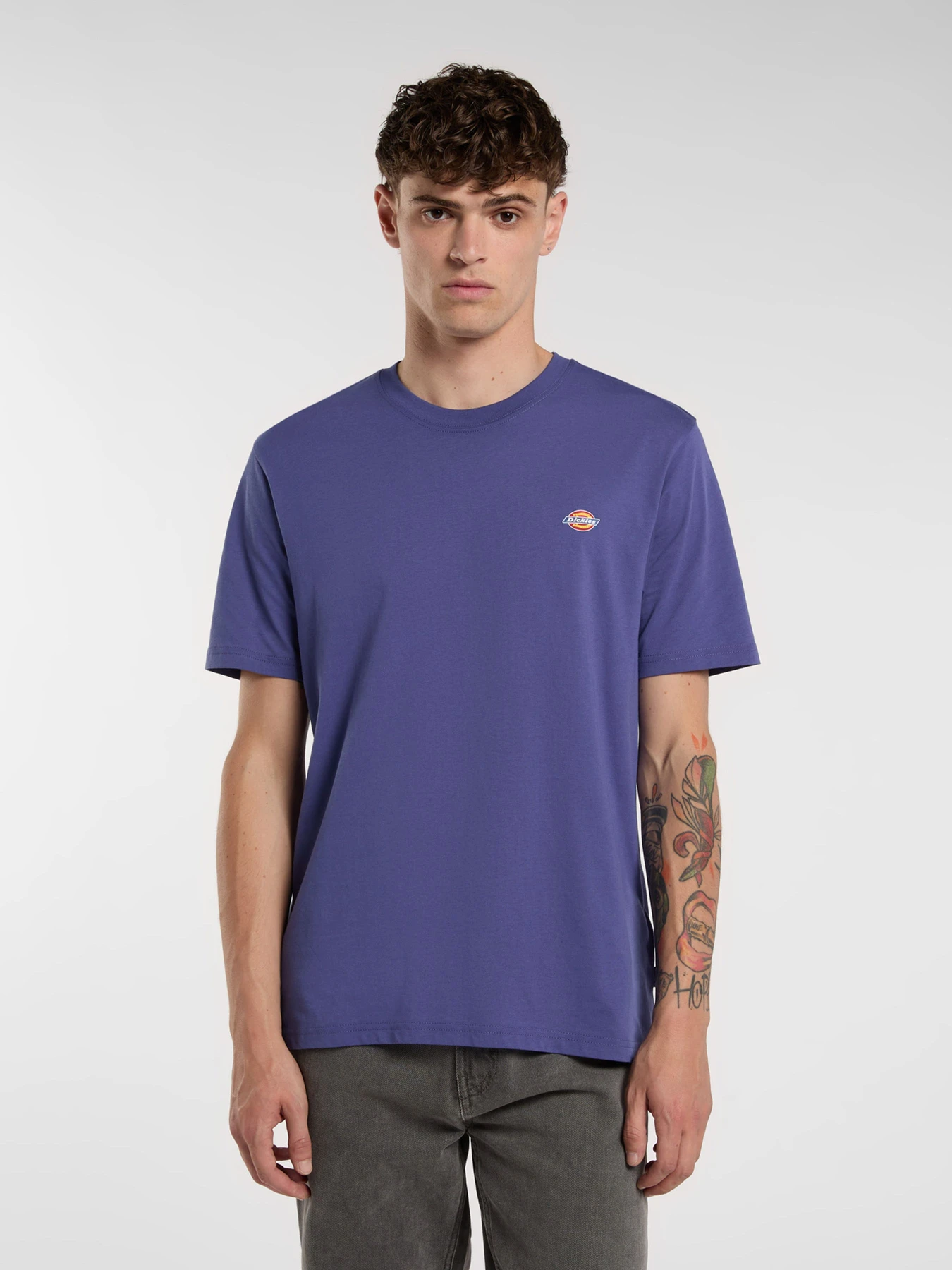 Футболки и поло Dickies Mapleton модель DK0A4XDBK421 Футболки и поло Dickies Mapleton модель DK0A4XDBK421 Фото