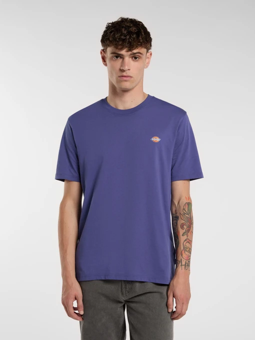 Футболки і поло Dickies Mapleton модель DK0A4XDBK421 Фото