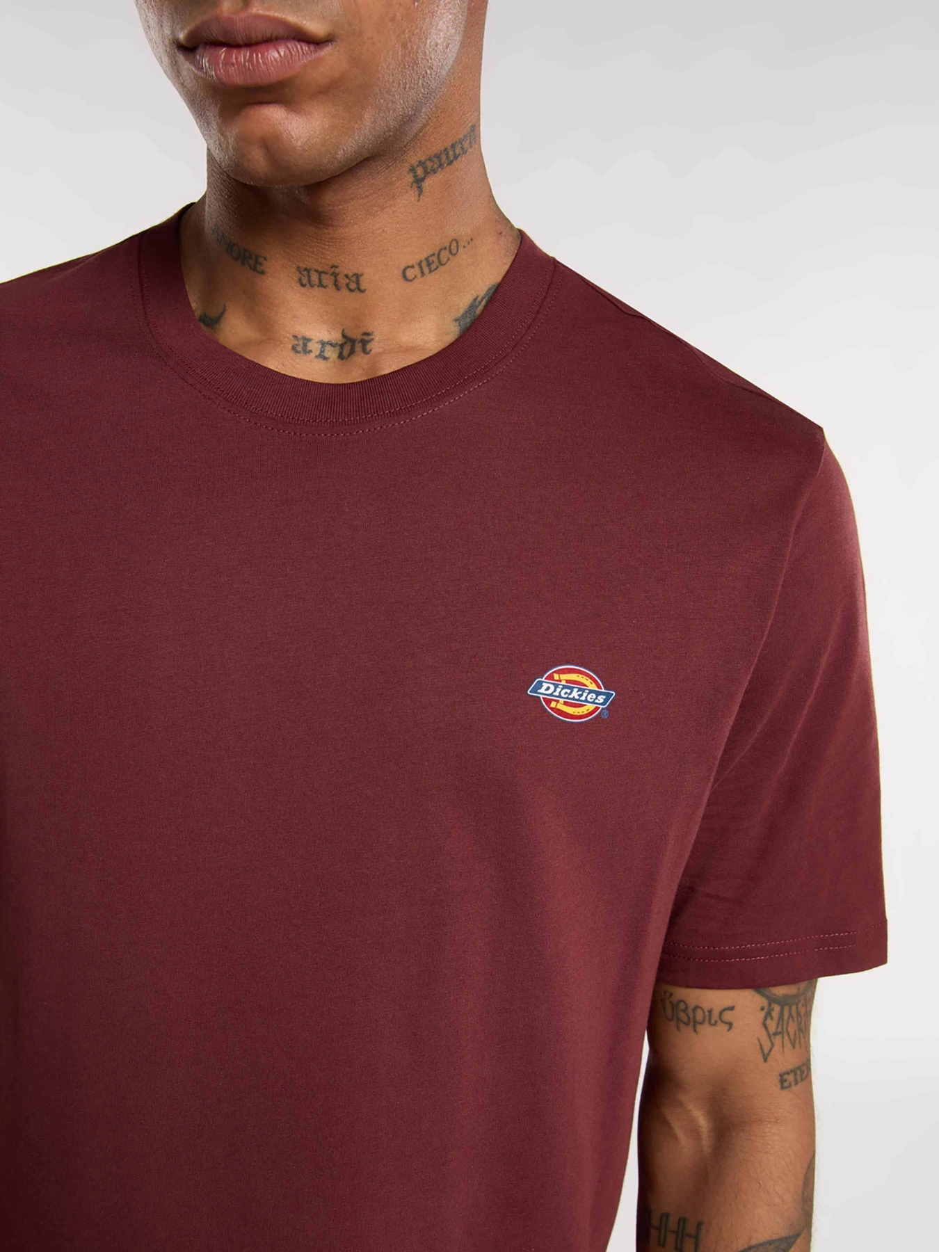 Футболки и поло Dickies Mapleton модель DK0A4XDBL161 Фото