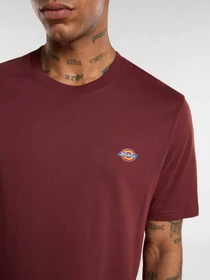 Футболки и поло Dickies Mapleton модель DK0A4XDBL161 Фото