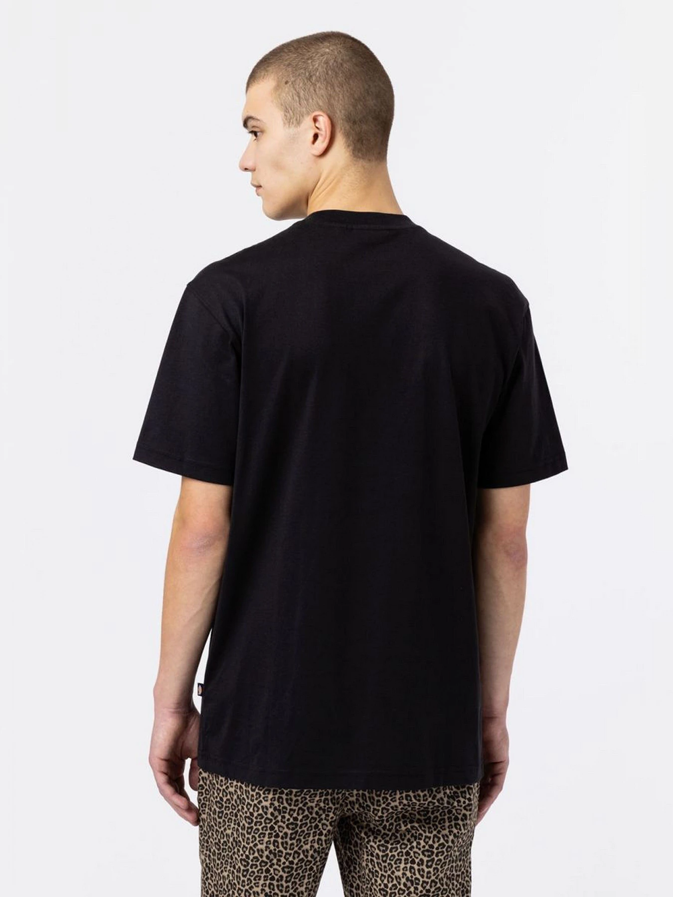 Футболки і поло Dickies Mount Vista Ss модель DK0A4XOUBLK1 Фото