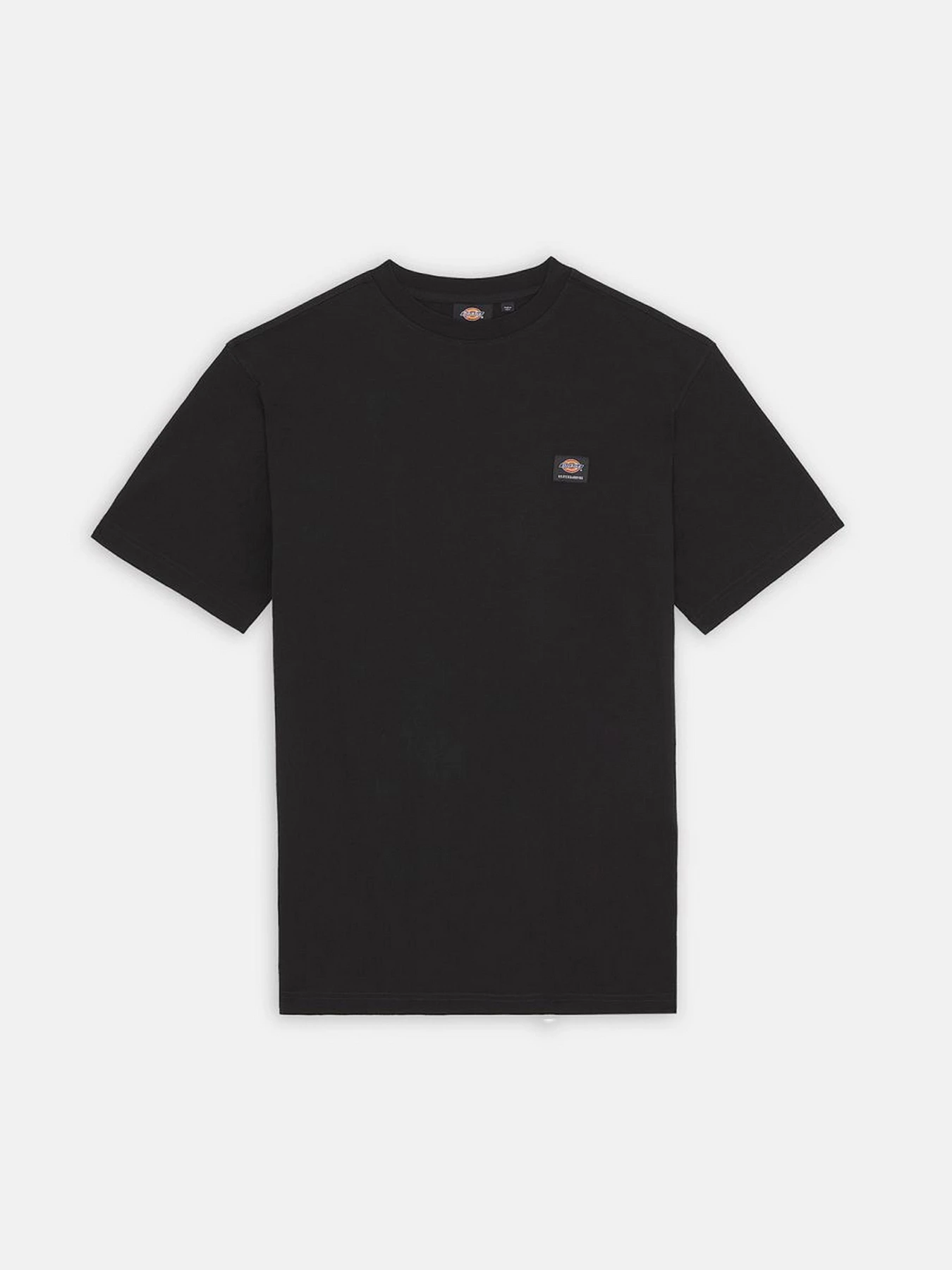 Футболки і поло Dickies Mount Vista Ss модель DK0A4XOUBLK1 Фото