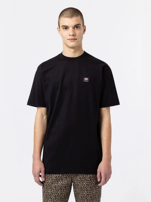 Футболки і поло Dickies Mount Vista Ss модель DK0A4XOUBLK1 Фото