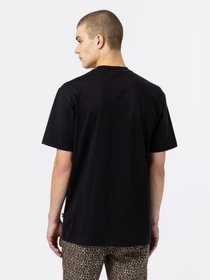 Футболки і поло Dickies Mount Vista Ss модель DK0A4XOUBLK1 Фото