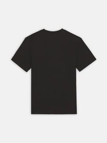Футболки і поло Dickies Mount Vista Ss модель DK0A4XOUBLK1 Фото