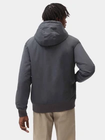 Куртки и дубленки Dickies New Sarpy модель DK0A4XG8CH01 Фото