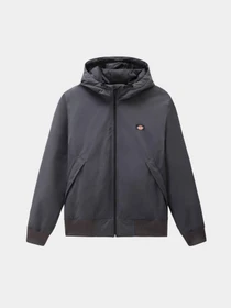 Куртки и дубленки Dickies New Sarpy модель DK0A4XG8CH01 Фото