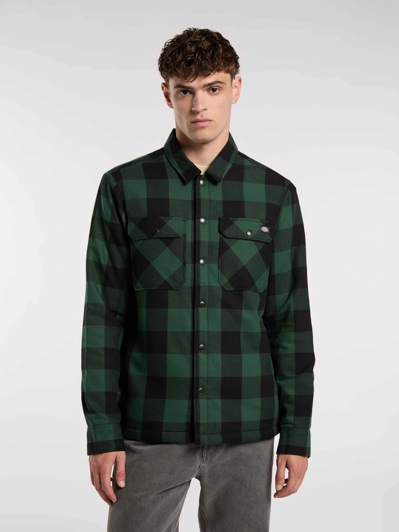 Куртки та дублянки Dickies SHERPA LINED SACRAMENTO модель DK0A4XGRPIN1 Куртки та дублянки Dickies SHERPA LINED SACRAMENTO модель DK0A4XGRPIN1 Фото