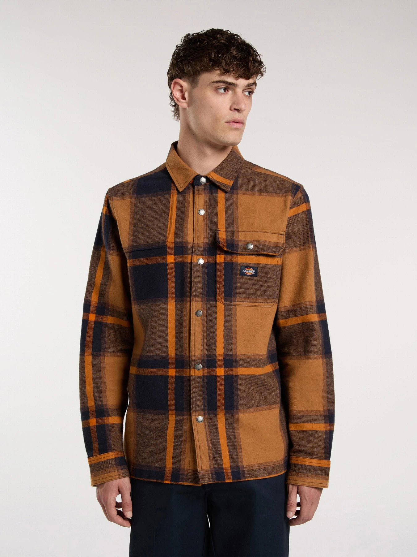 Рубашки Dickies NIMMONS LS модель DK0A4XGUL181 Фото