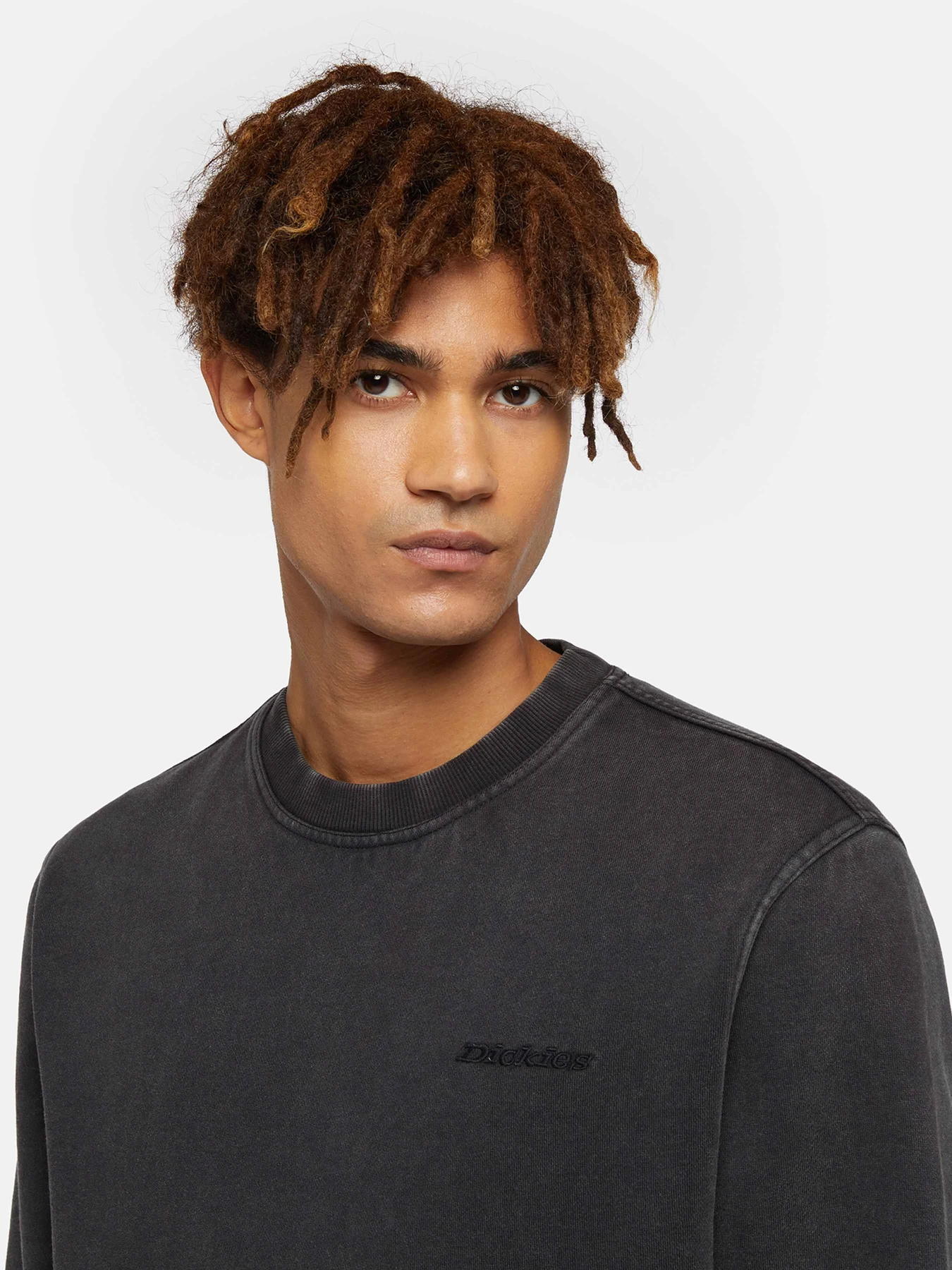 Худі та світшоти Dickies Plentywood модель DK0A864HBLK1 Худі та світшоти Dickies Plentywood модель DK0A864HBLK1 Фото