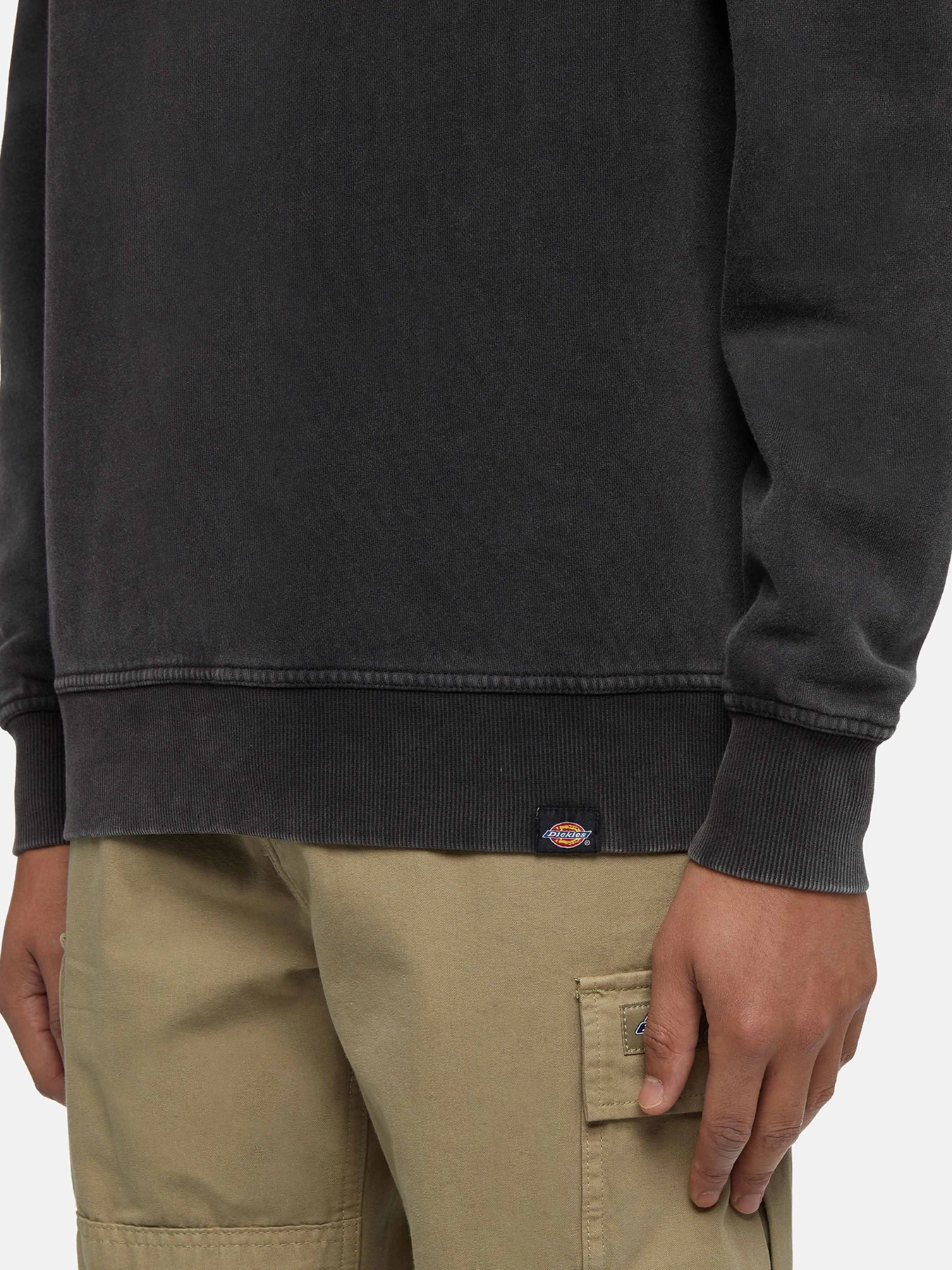 Худі та світшоти Dickies Plentywood модель DK0A864HBLK1 Худі та світшоти Dickies Plentywood модель DK0A864HBLK1 Фото