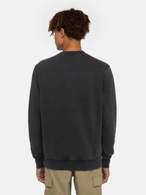 Худі та світшоти Dickies Plentywood модель DK0A864HBLK1 Фото