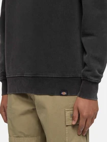 Худі та світшоти Dickies Plentywood модель DK0A864HBLK1 Фото