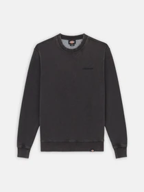 Худі та світшоти Dickies Plentywood модель DK0A864HBLK1 Фото