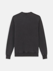 Худі та світшоти Dickies Plentywood модель DK0A864HBLK1 Фото