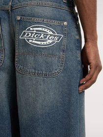 Джинсы Dickies Hilham модель DK0A87NKL231 Фото
