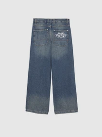 Джинсы Dickies Hilham модель DK0A87NKL231 Фото