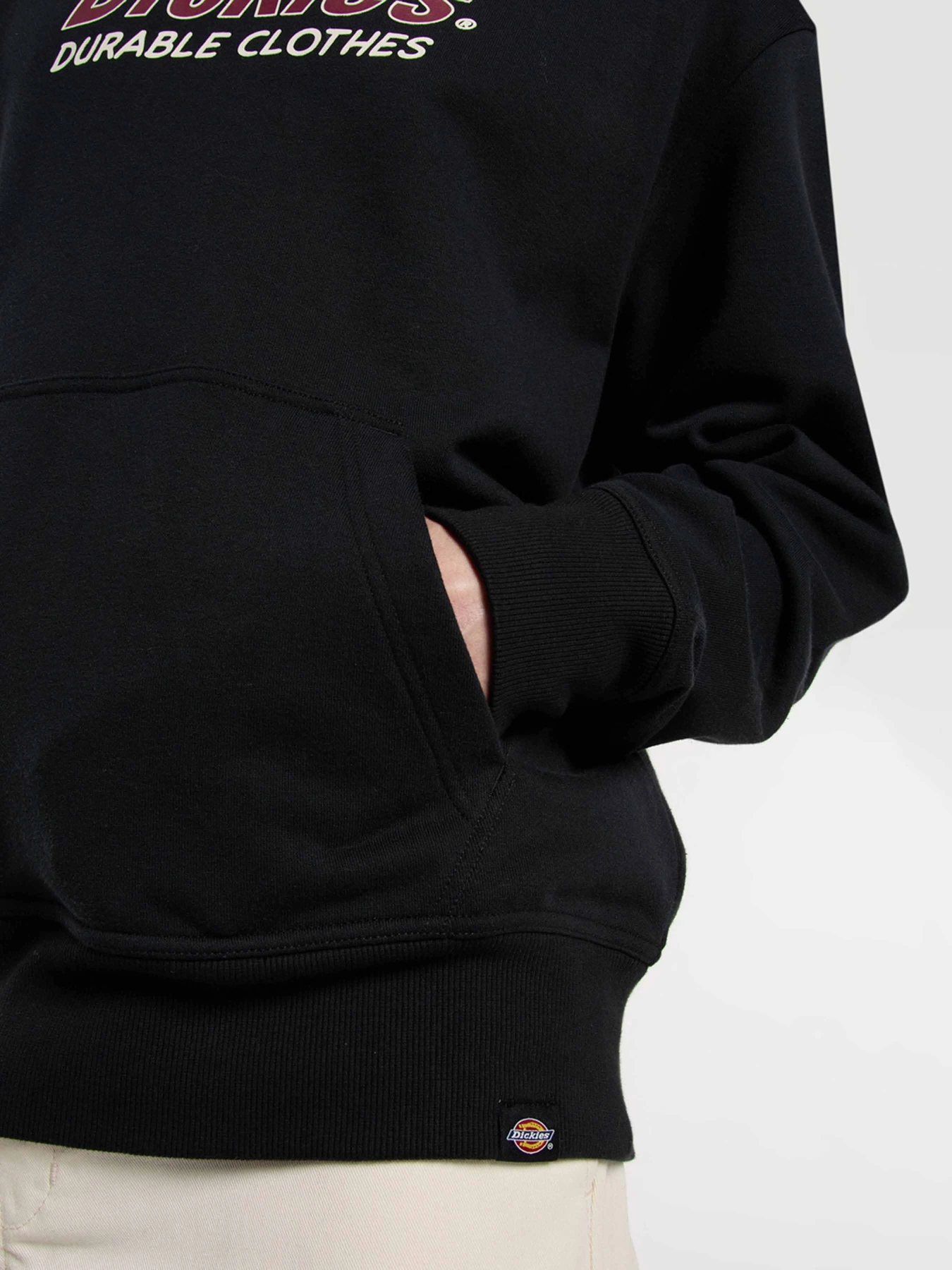 Худи и свитшоты Dickies Williston модель DK0A87NOBLK1 Фото