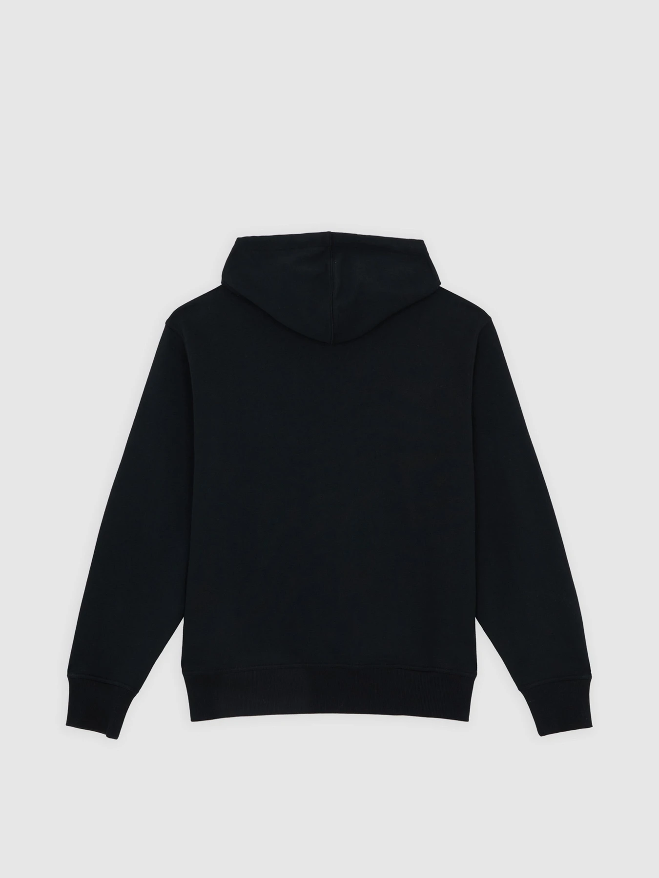 Худи и свитшоты Dickies Williston модель DK0A87NOBLK1 Фото