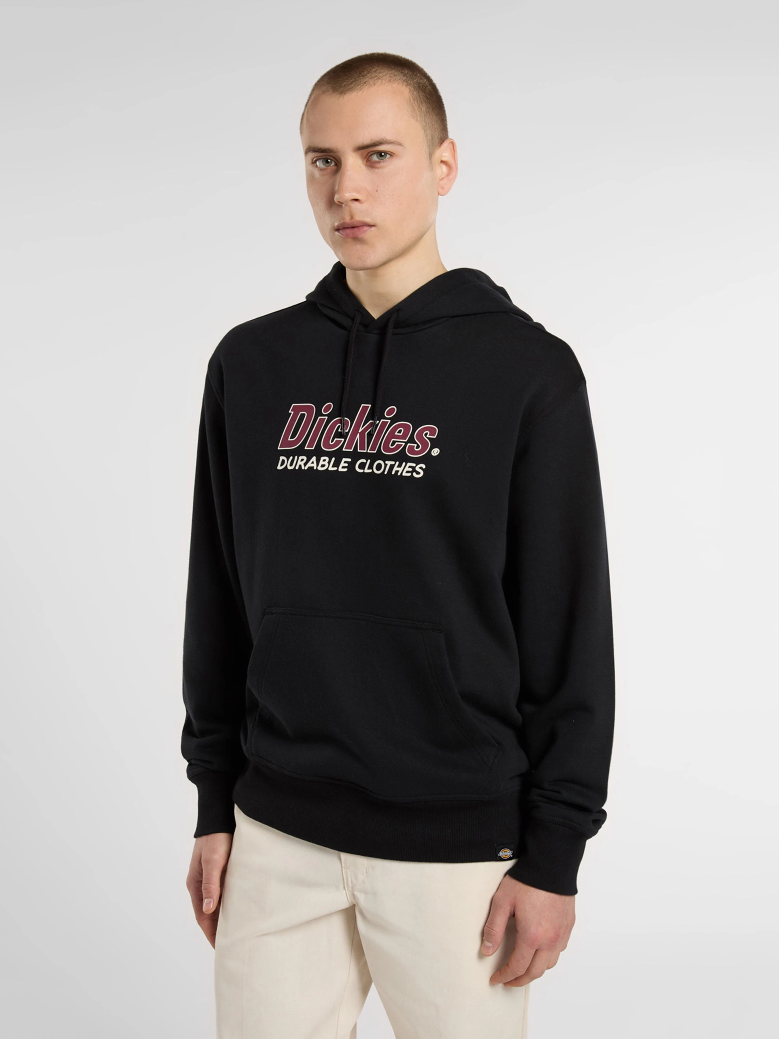 Чоловіче Худі Dickies Williston