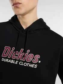 Худи и свитшоты Dickies Williston модель DK0A87NOBLK1 Фото