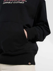 Худи и свитшоты Dickies Williston модель DK0A87NOBLK1 Фото