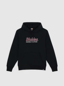 Худи и свитшоты Dickies Williston модель DK0A87NOBLK1 Фото