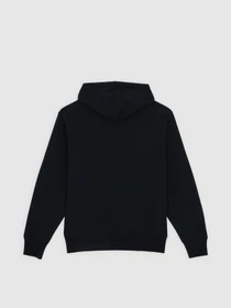 Худи и свитшоты Dickies Williston модель DK0A87NOBLK1 Фото