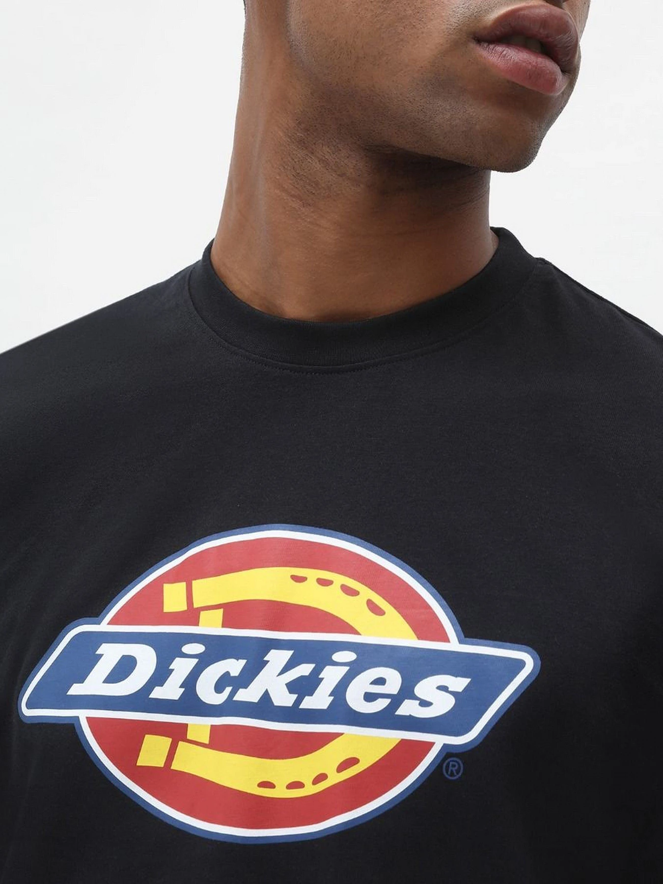Футболки і поло Dickies Icon Logo модель DK0A4XC9BLK1 Фото