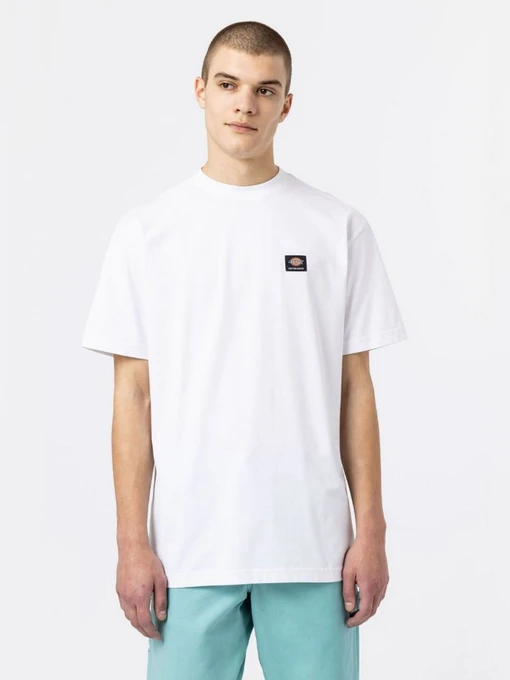 Футболки і поло Dickies Mount Vista Ss модель DK0A4XOUWHX1 Фото