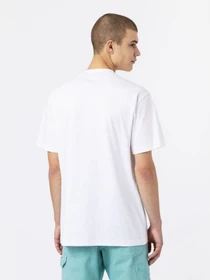Футболки і поло Dickies Mount Vista Ss модель DK0A4XOUWHX1 Фото