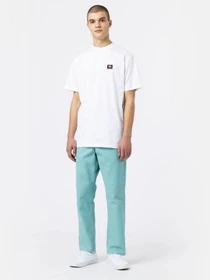 Футболки і поло Dickies Mount Vista Ss модель DK0A4XOUWHX1 Фото