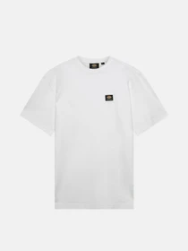 Футболки і поло Dickies Mount Vista Ss модель DK0A4XOUWHX1 Фото